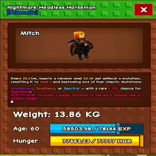 NM Headless Horseman