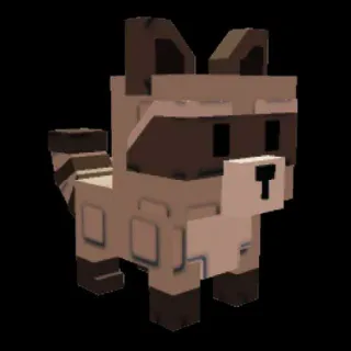 Raccoon - Grow A Garden