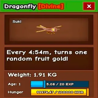 Dragonfly -Grow A Garden
