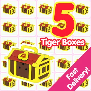 5 Tiger Box