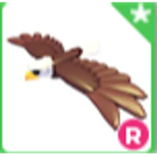 Ride R Bald Eagle