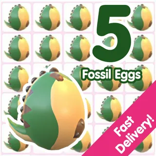 5 Fossil Eggs