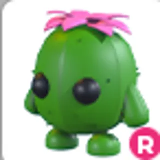 Ride R Cactus Friend