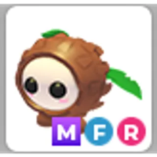 Mega Fly Ride MFR Coconut Friend