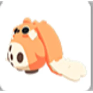 Cabbit