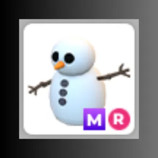 MR Snowman