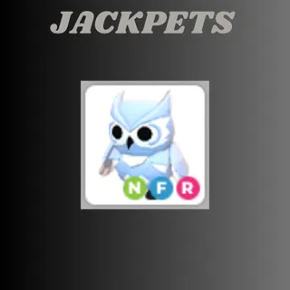 NFR SNOW OWL