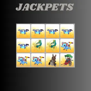 BUNDLE 12X