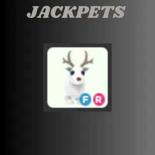 FR ARCTIC REINDEER