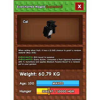 Grow a Garden  - magpie ( evechanted , huge )