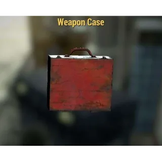 Weapons Case