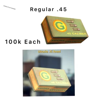 .45 Ammo Bundle