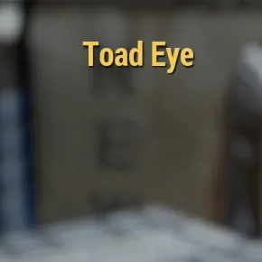 Toad Eye