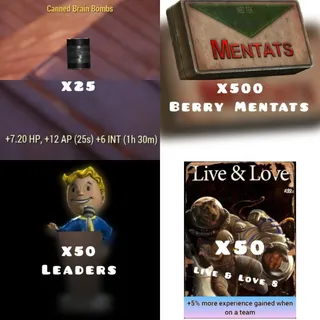 XP Bundle