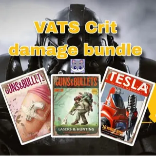 Vats Critical Damage Bundle