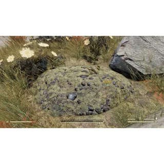 Savage Divide Bundle 