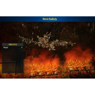 Moist Radkelp Displayable Misc Item