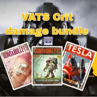 Vats Critical Damage Bundle