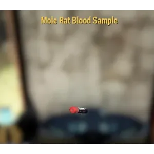 Mole Rat Blood Sample