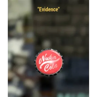 Other | Evidence misc Item