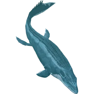 Movie Mosasaurus