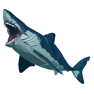 Carcharocles Megalodon