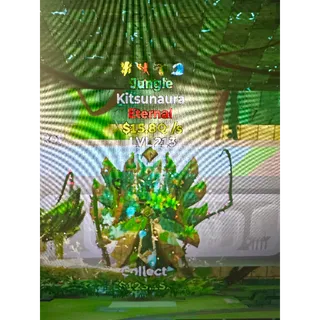 Jungle Kitsunaura 4 traits 