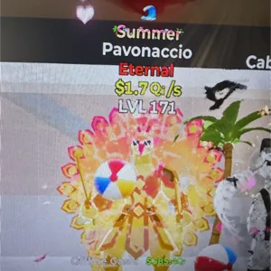 Summer pavonaccio