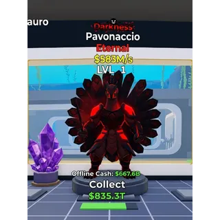 Darkness Pavonaccio 