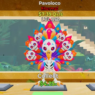 Pavoloco
