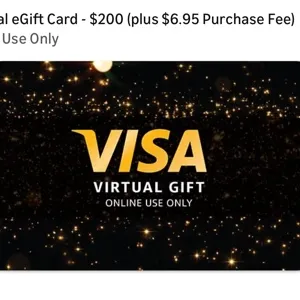 Virtual Visa