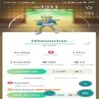 Shiny Hitmonchan