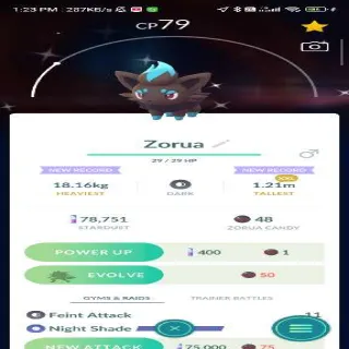 Shiny Zorua -XXL Rare Pokemon Go