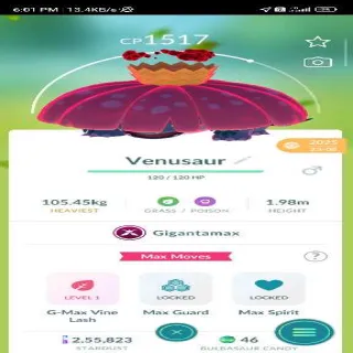 GIGANTAMAX VENUSAUR  Pokemon Go