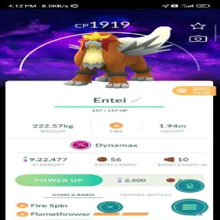 Dynamax Entei (Special Background)