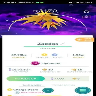 Shiny Dynamax Zapdos Bg
