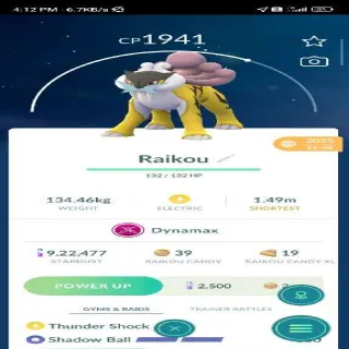 Dynamax Raikou Pokemon Go