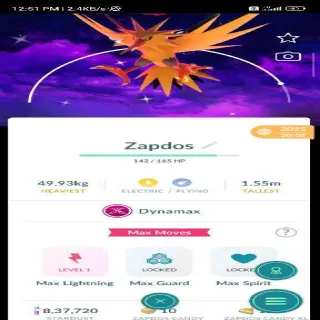 Shiny Zapdos Dynamax Bg