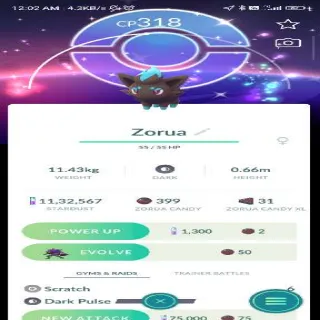 Shiny Zorua With Bg