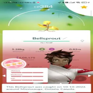 Pokemon Go GUARANTEED RANDOM SHUNDO Catch Service