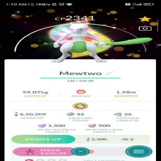Shiny Mewtwo — Mega Evolution  Background Pokemon Go