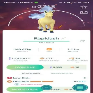 Shiny Rapidash – High Cp
