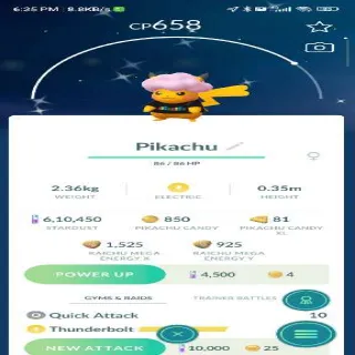 Shiny Pikachu