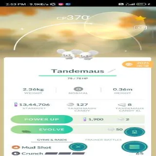 Shiny Tandemaus Ultra Rare Pokemon Go