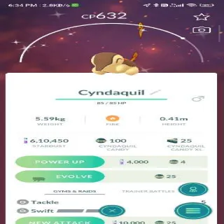 Shiny Cyndaquil Pokemon Go