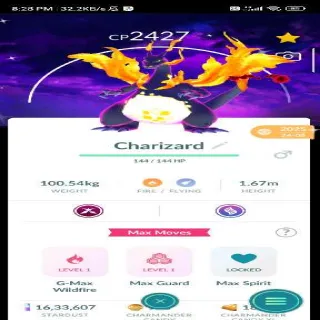 ShinyGigantamaxCharizard With Bg