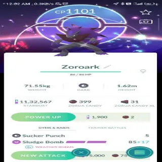 Shiny Zoroark With Background