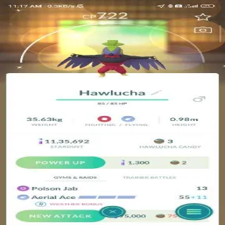 Shiny Hawlucha