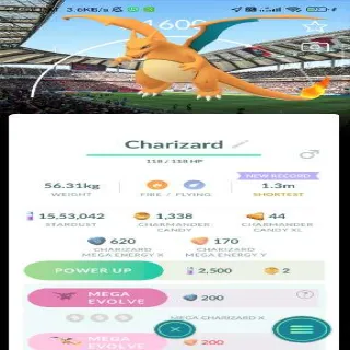 Charizard with Bg