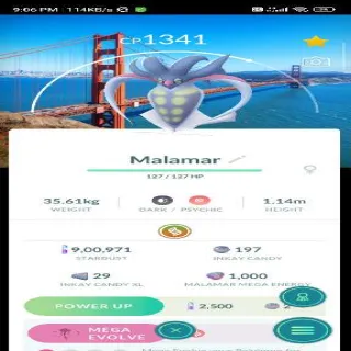 Malamar Location Bg